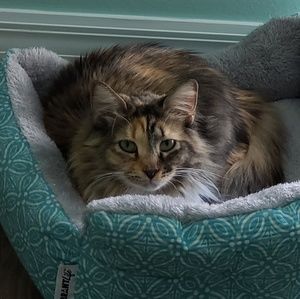 Meet your Posher, Diane